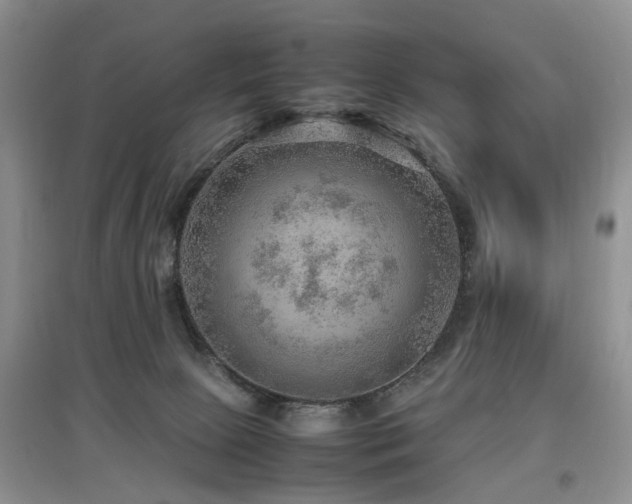 X0000097880081200803141329