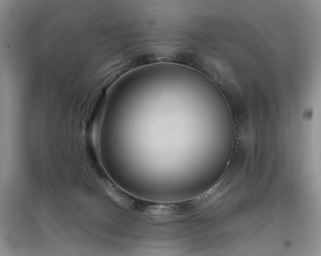 X0000097880082200803141329