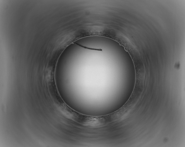 X0000097880083200803141329