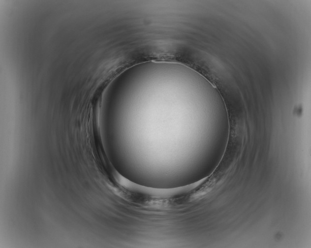 X0000097880084200803141329