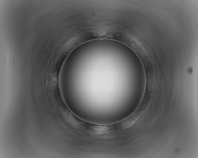 X0000097880085200803141329