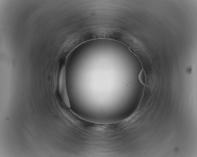 X0000097880086200803141329