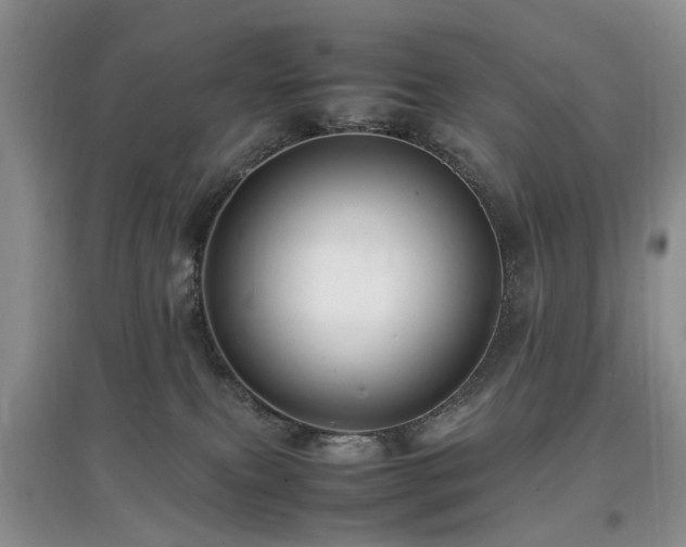 X0000097880087200803141329