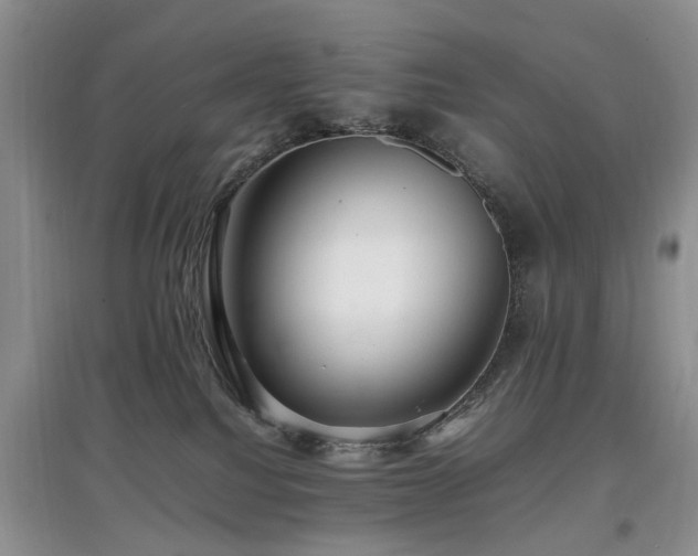 X0000097880088200803141329