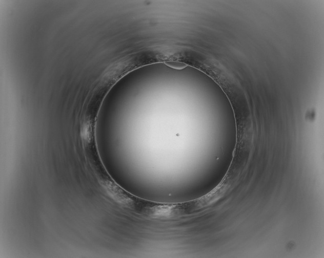 X0000097880090200803141329