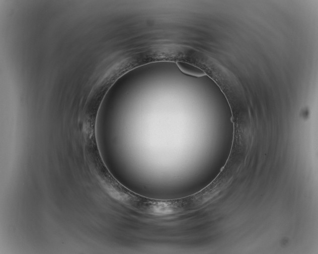 X0000097880091200803141329