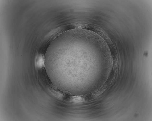 X0000097880095200803141329