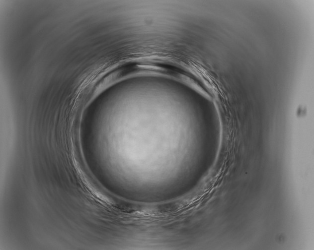 X0000097880097200803141329