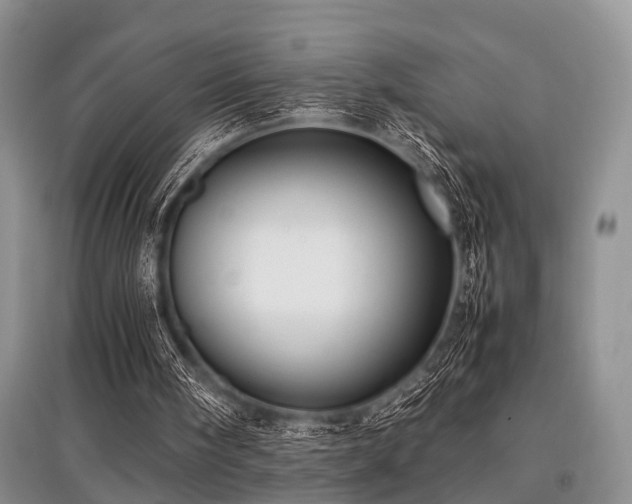 X0000097880098200803141329