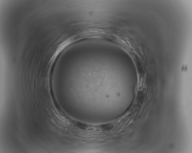 X0000097880099200803141329