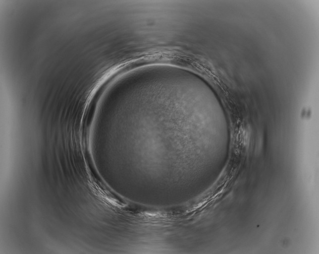X0000097880100200803141329