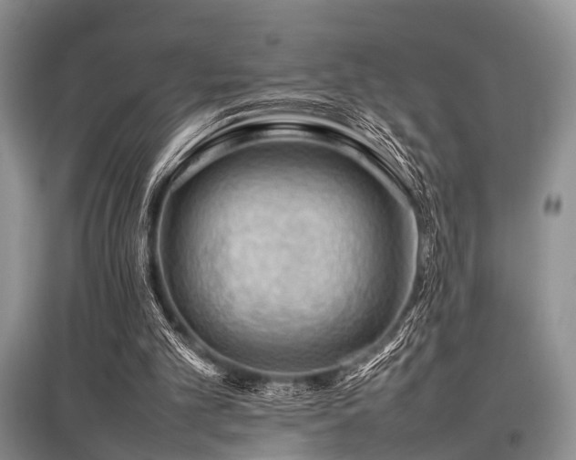 X0000097880101200803141328