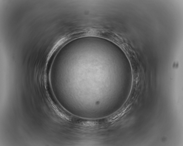 X0000097880102200803141328