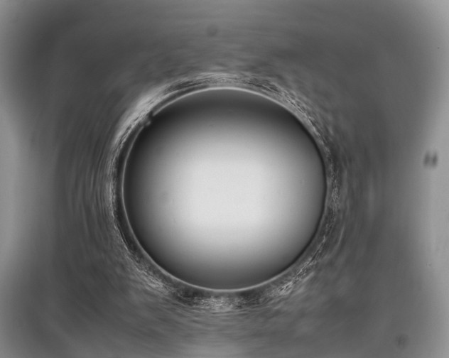 X0000097880103200803141328
