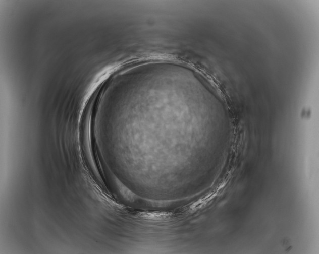 X0000097880104200803141328