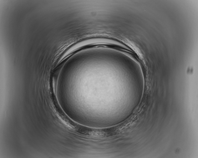 X0000097880105200803141328