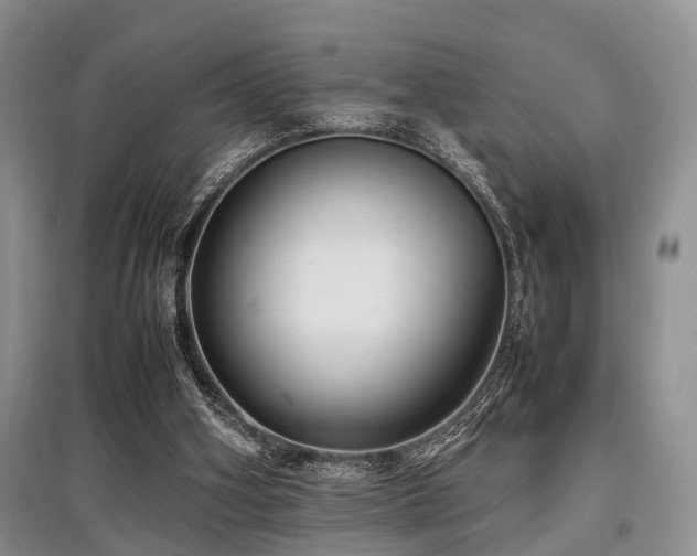 X0000097880106200803141328