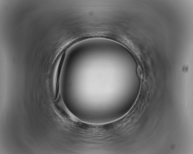 X0000097880107200803141328