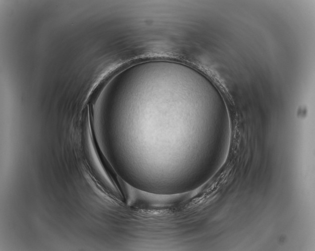 X0000097880108200803141328