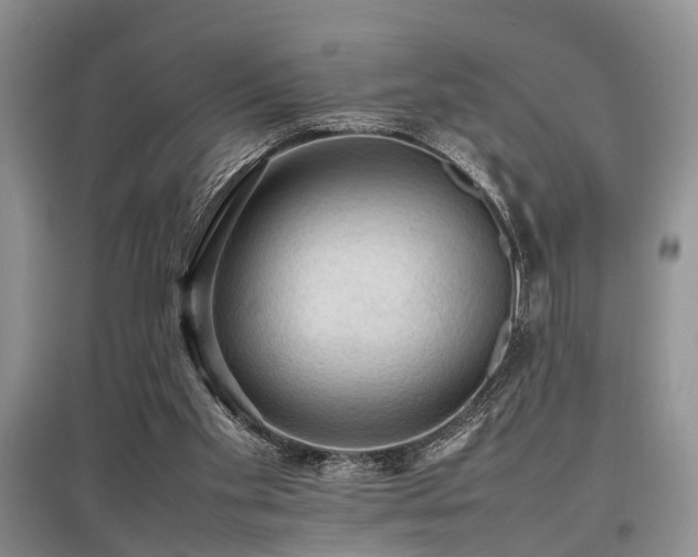 X0000097880109200803141328