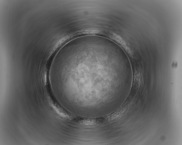X0000097880110200803141328