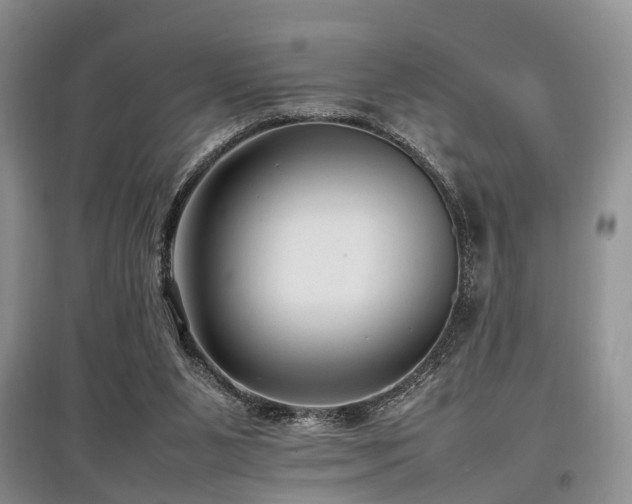 X0000097880111200803141328