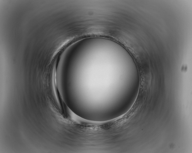 X0000097880112200803141328