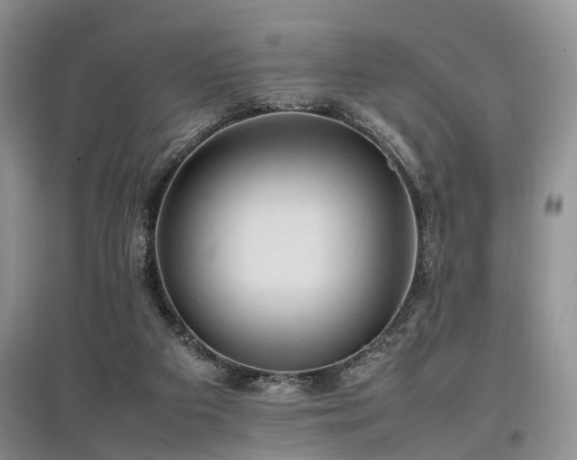 X0000097880113200803141328