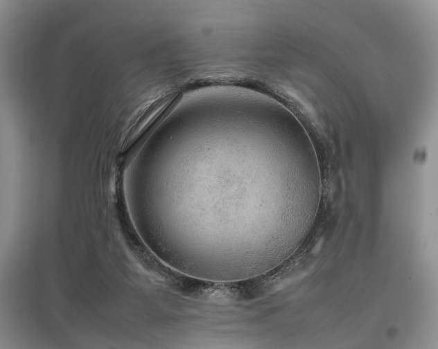 X0000097880115200803141328