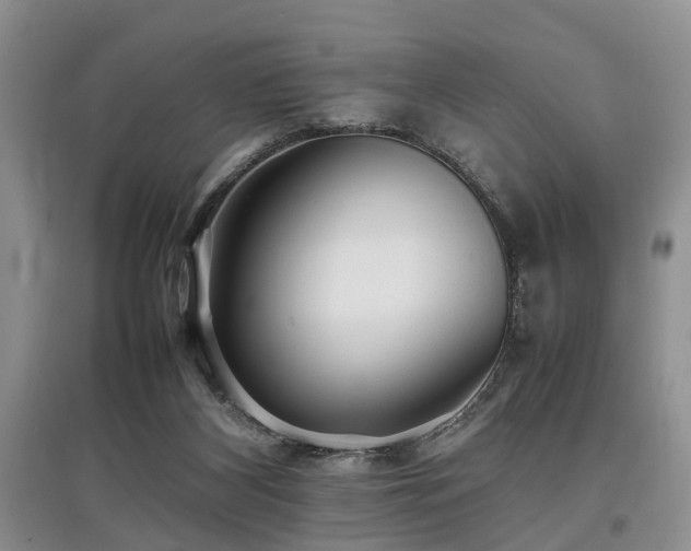 X0000097880116200803141328