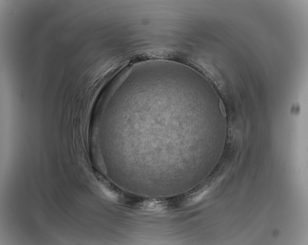 X0000097880117200803141328