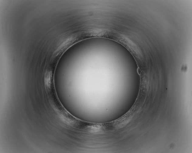 X0000097880118200803141328