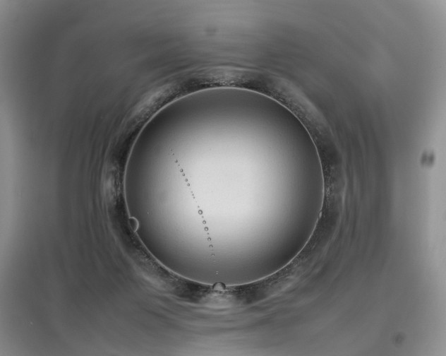 X0000097880119200803141328