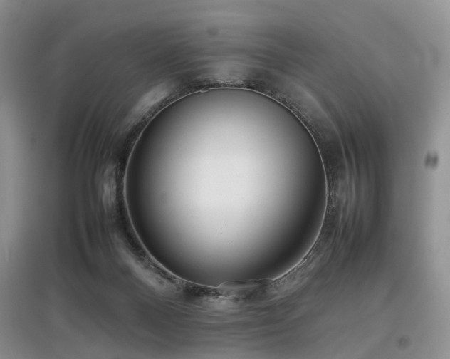 X0000097880120200803141328