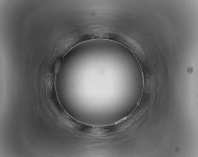 X0000097880121200803141328