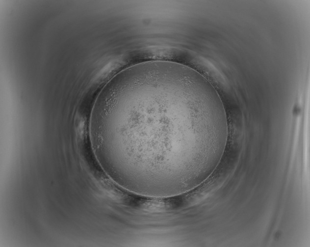 X0000097880123200803141328