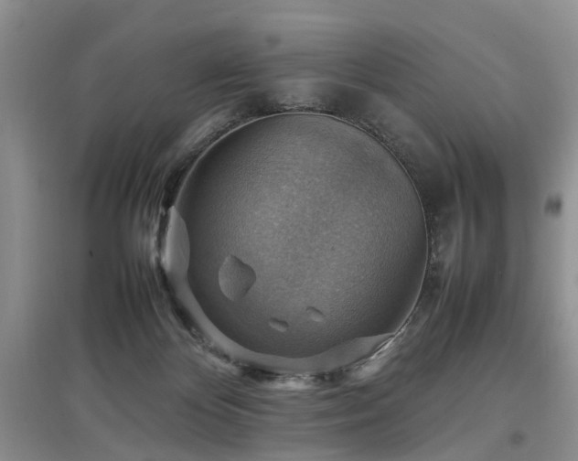 X0000097880124200803141328