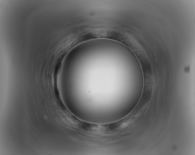 X0000097880125200803141328