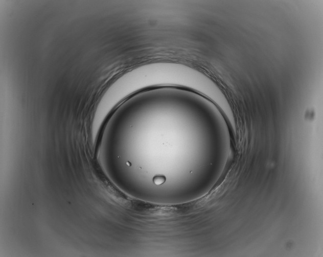 X0000097880128200803141328