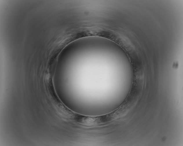 X0000097880129200803141328