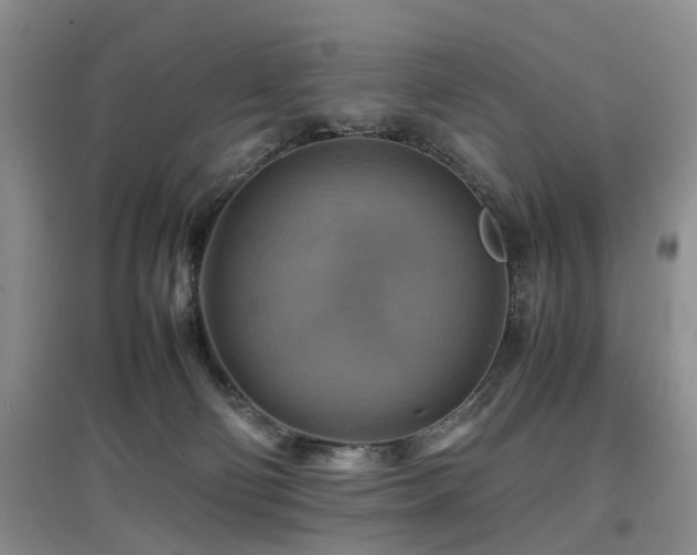 X0000097880130200803141328