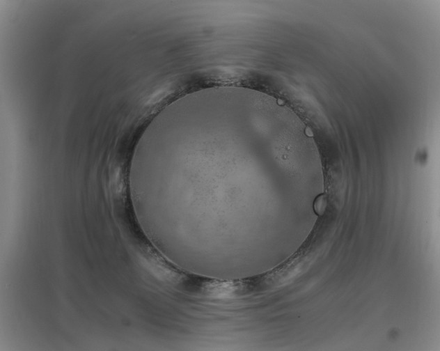 X0000097880131200803141328