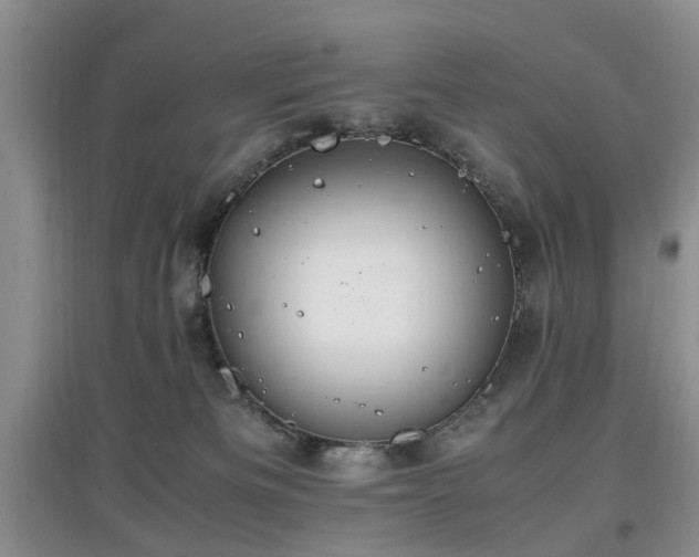X0000097880133200803141328