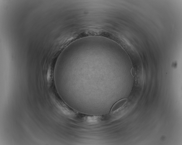 X0000097880134200803141328