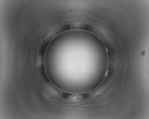 X0000097880135200803141328
