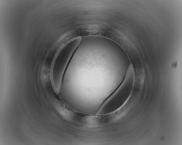 X0000097880136200803141328