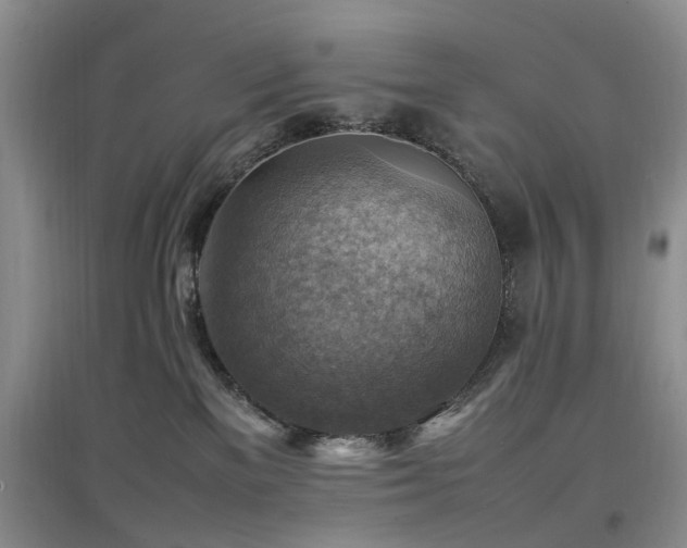 X0000097880137200803141328