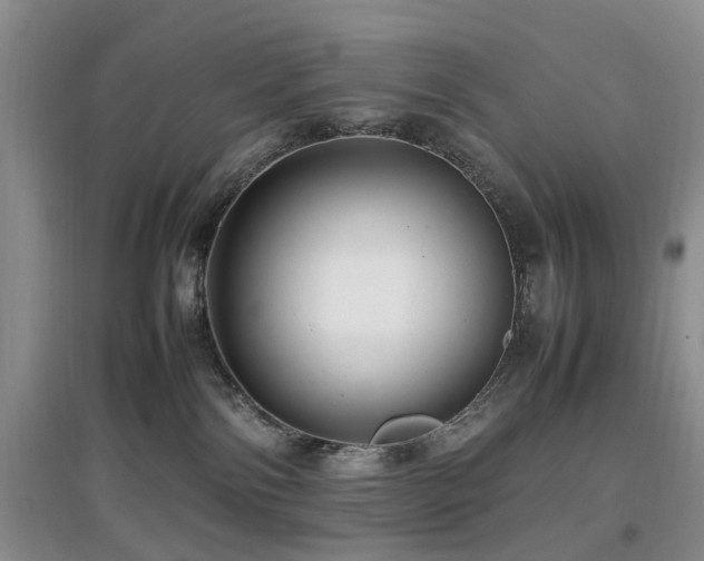 X0000097880138200803141328