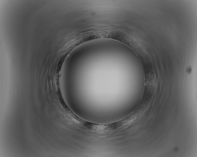 X0000097880139200803141328