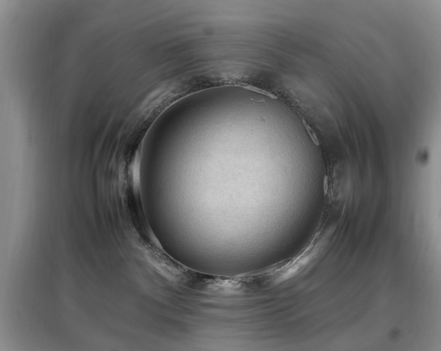 X0000097880140200803141328